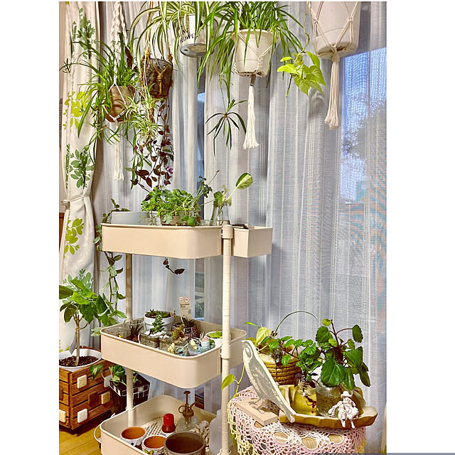 CoCo0617さんの部屋