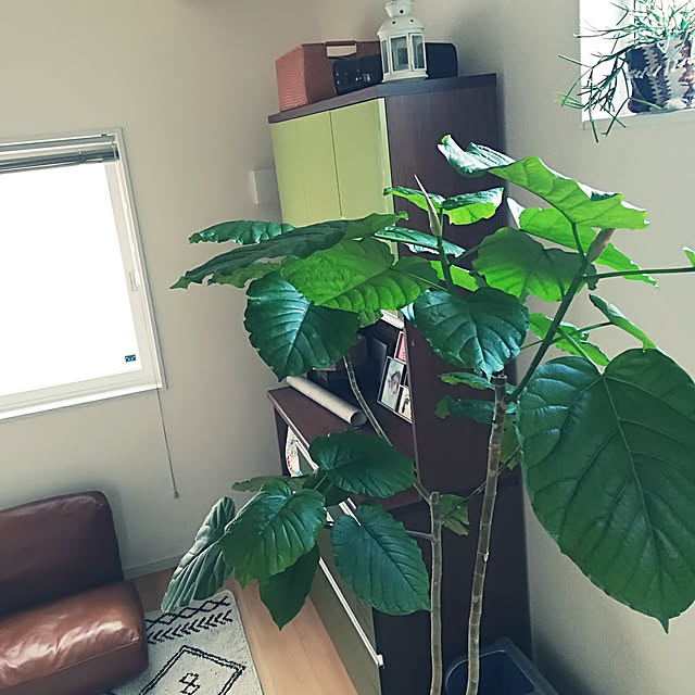 Jijiさんの実例写真