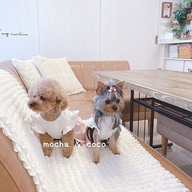 e.and.m.mamaさんの部屋