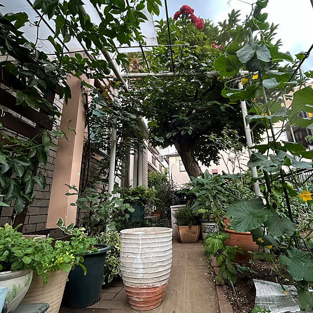 botanさんの部屋