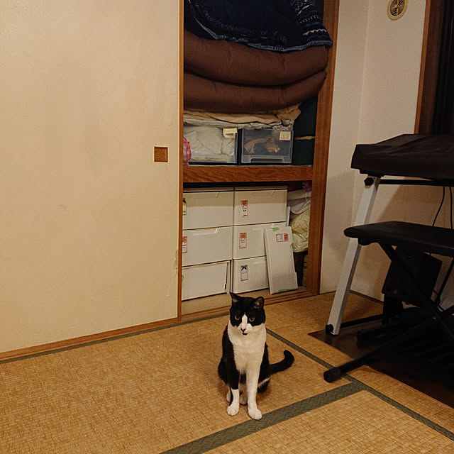 okyosan101さんの実例写真