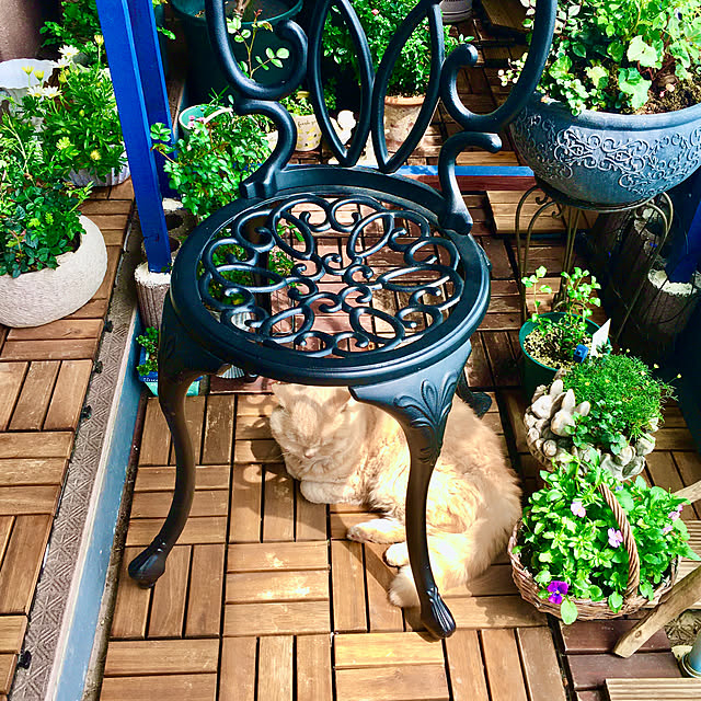 naokoさんの部屋