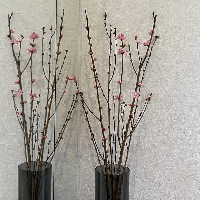 mamachanさんの実例写真