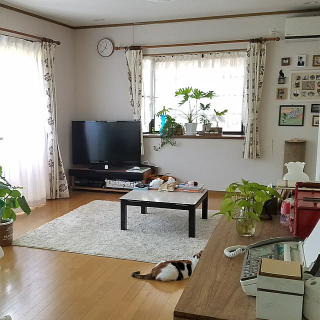 Kinanさんの実例写真