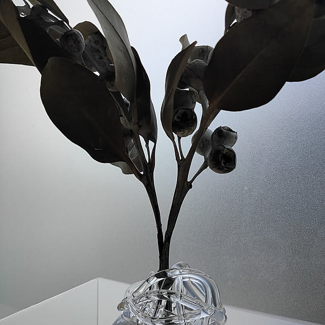 crepusculeさんの実例写真