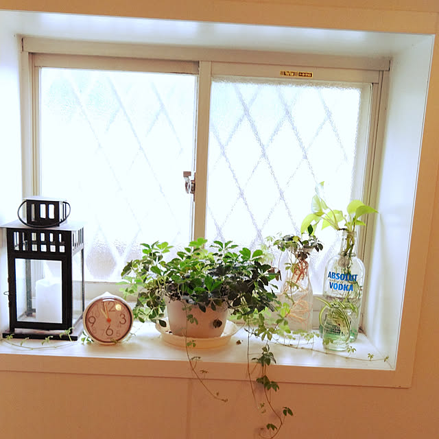 バス/トイレ/観葉植物のインテリア実例 - 2020-07-24 12:28:28