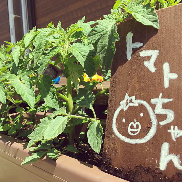 rogu33さんの実例写真