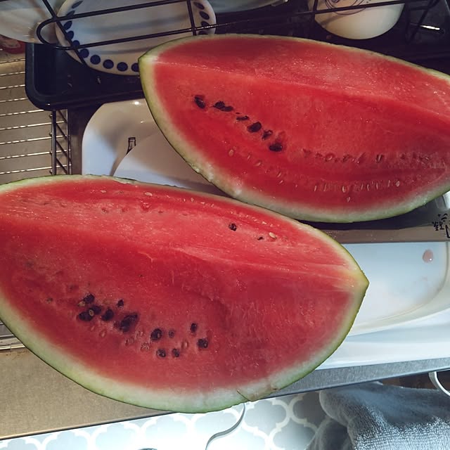 NAOKIさんの実例写真