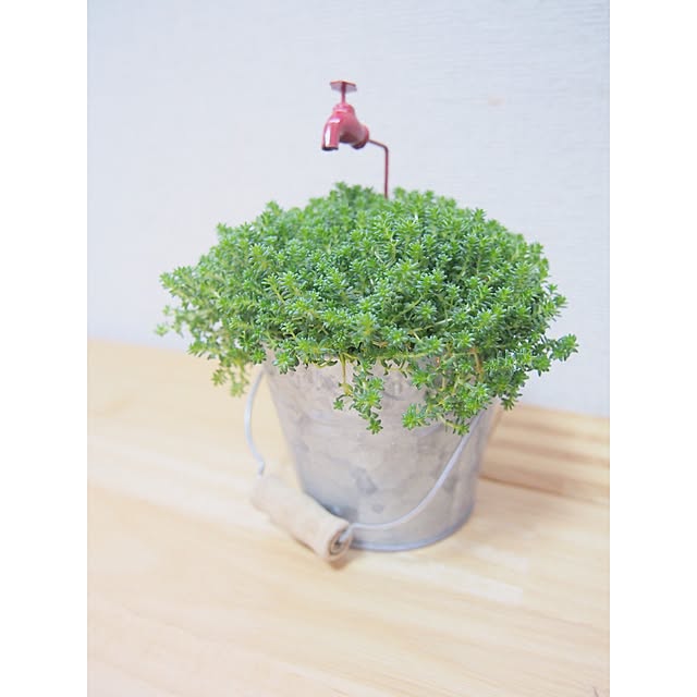 Ryoさんの実例写真