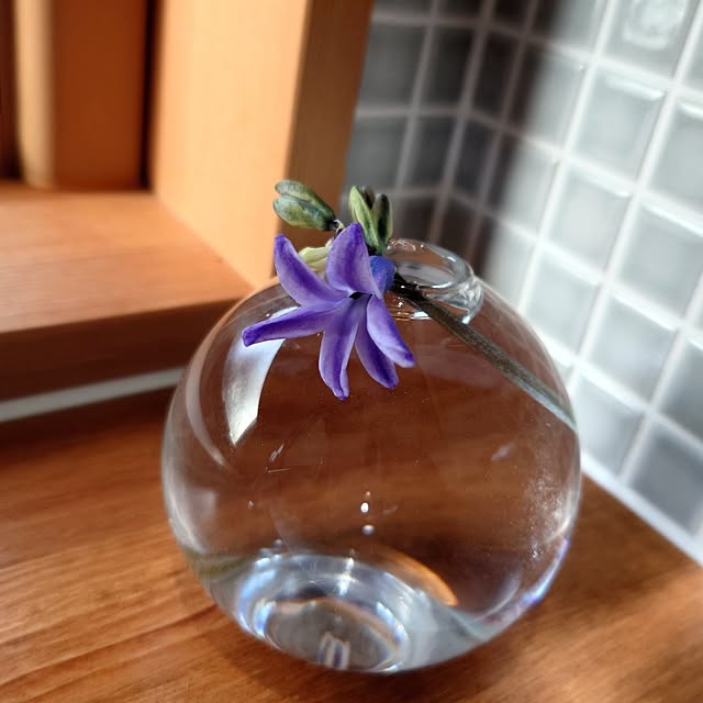 yorikoさんの実例写真