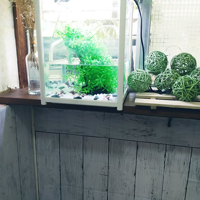 fruityanさんの実例写真