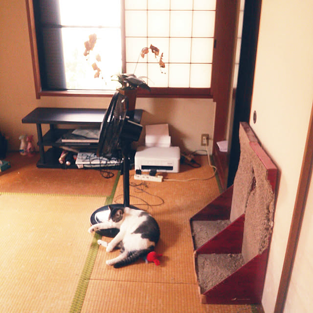 Tomopさんの実例写真