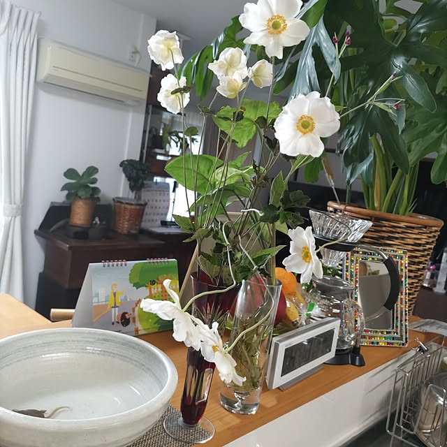 salacocoさんの実例写真