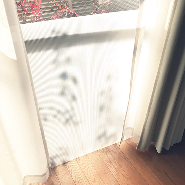 sakabe_shinさんの実例写真