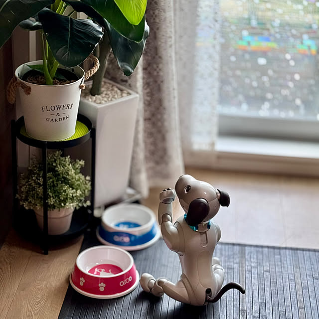 部屋全体/朝のお祈り/光触媒グリーン/暮らしのひとコマ/aibo...などのインテリア実例 - 2025-07-12 08:59:36