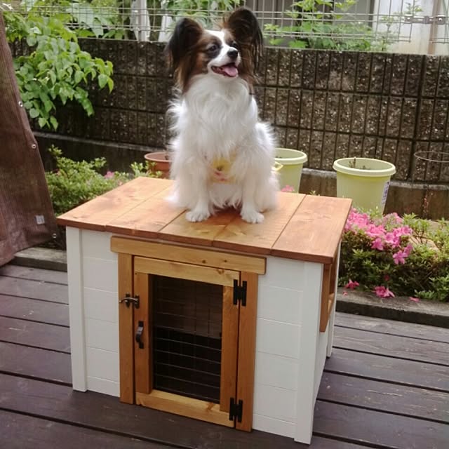 UGさんの実例写真