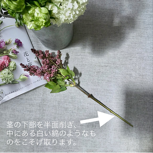 mimiedenさんの実例写真
