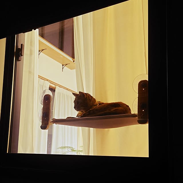 mochicoさんの部屋