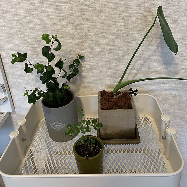 Y.Sさんの実例写真
