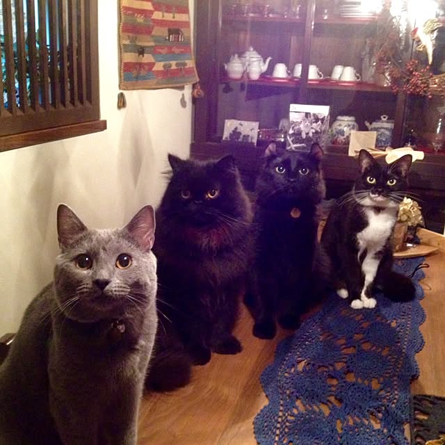 uni0609さんの実例写真