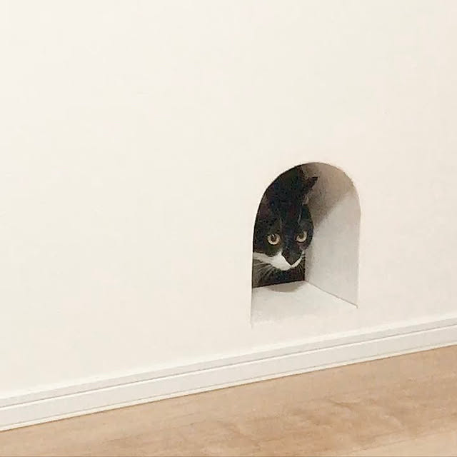Yさんの実例写真