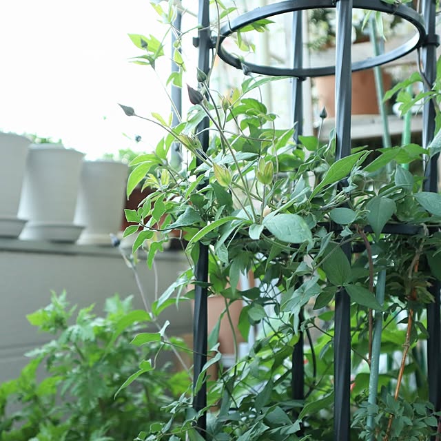 naopyiさんの部屋