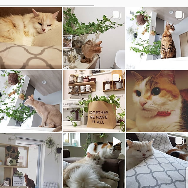 megu.catさんの実例写真