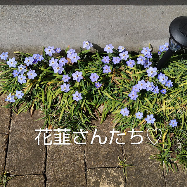 YUKOさんの実例写真
