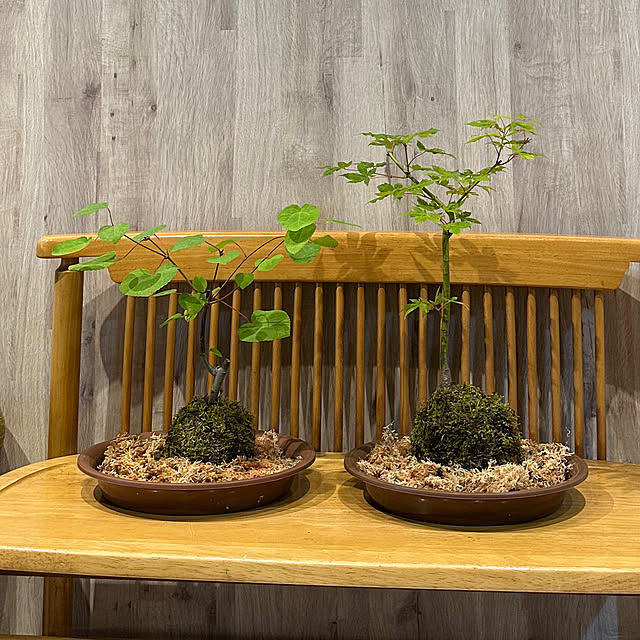 hanahana1444さんの部屋