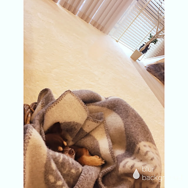 M.H.Lさんの実例写真