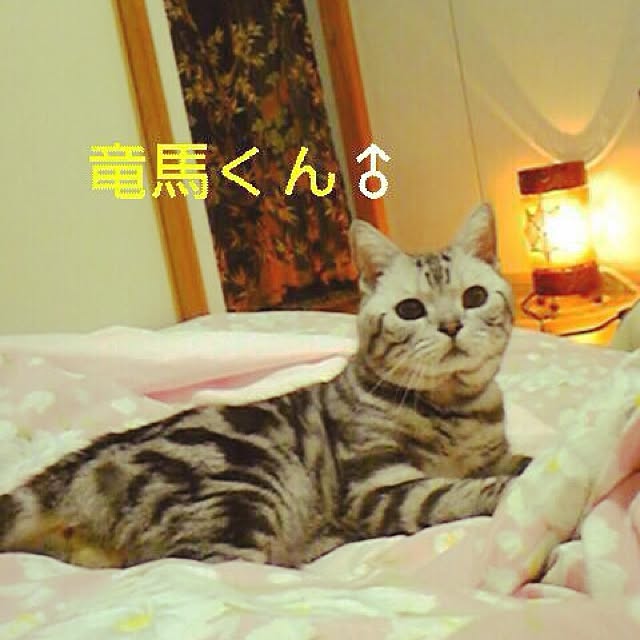 haruさんの実例写真