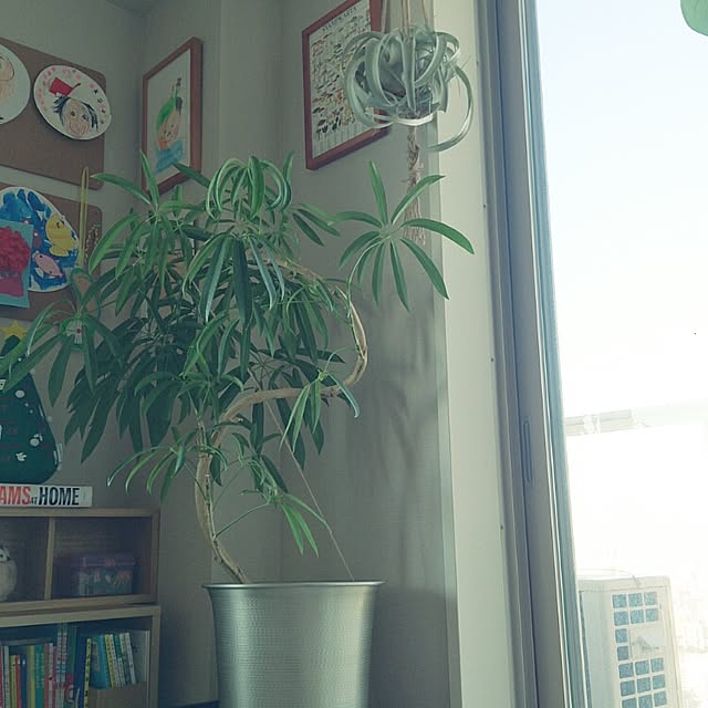 abeさんの実例写真
