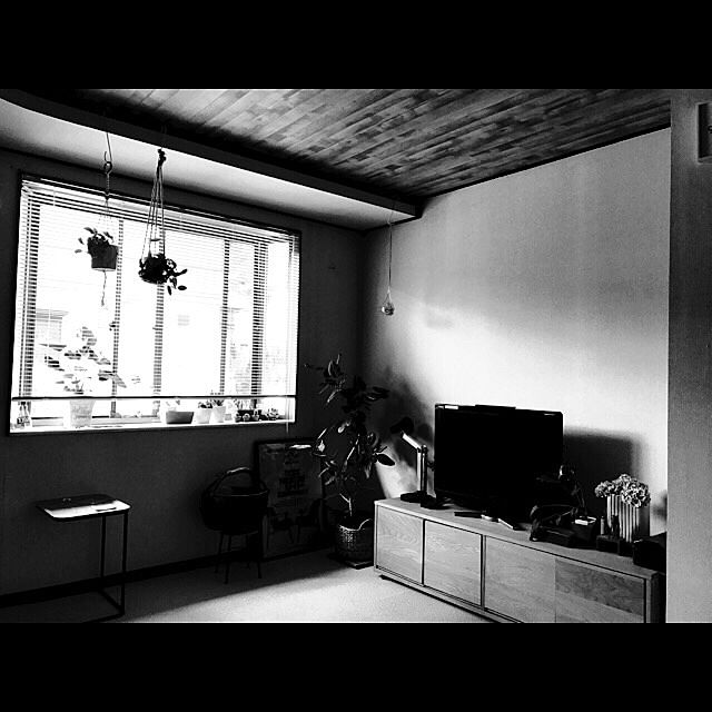 部屋全体/くつろぎ空間/フィカスベンガレンシス/代わり映えしない/せまい部屋...などのインテリア実例 - 2017-07-31 07:32:13