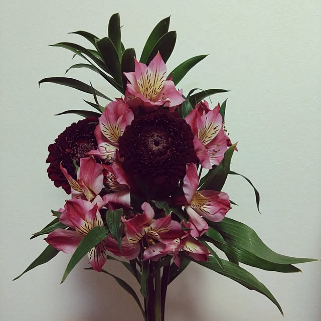 jkabmymycatさんの実例写真