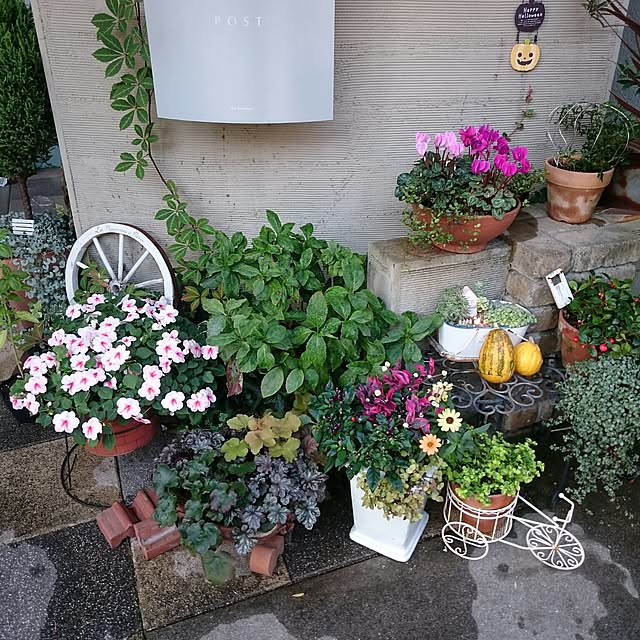 nanigenaihibiさんの実例写真