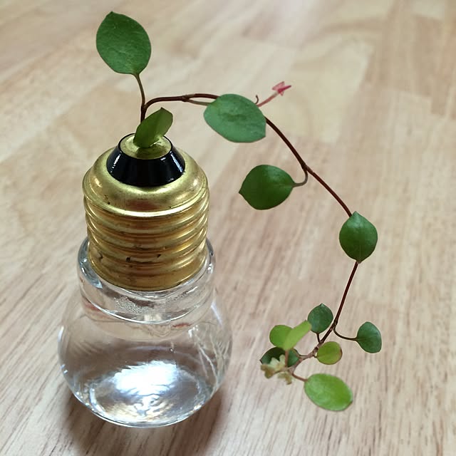 sarry0322さんの実例写真