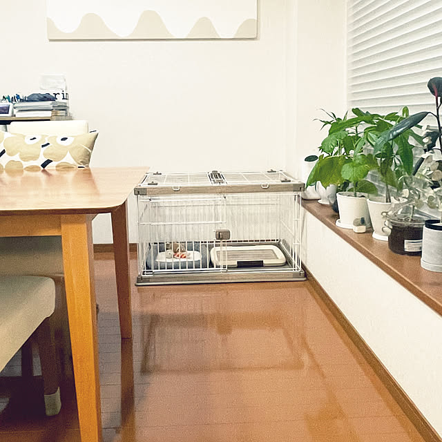 kawauso15さんの部屋