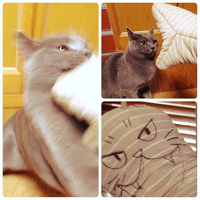 meguさんの実例写真