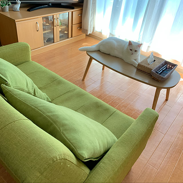 Machikoさんの実例写真