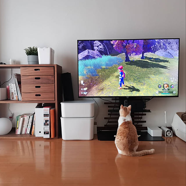 Maron0430さんの実例写真