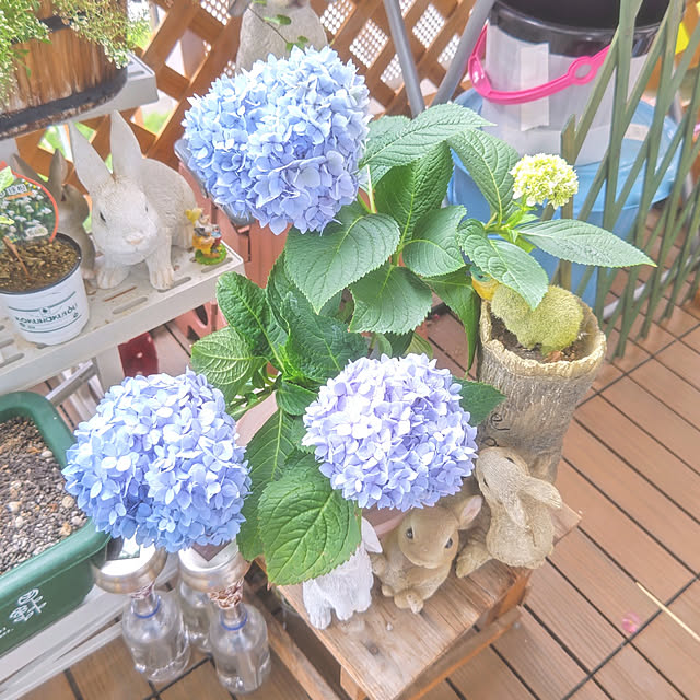 mariaさんの実例写真