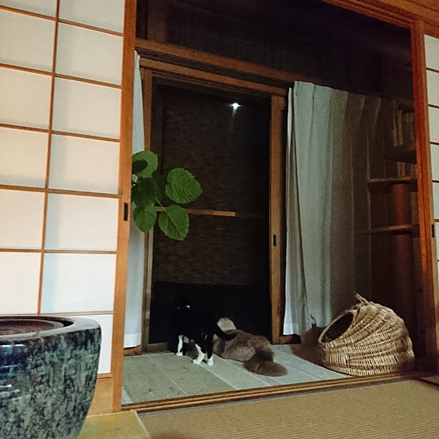 coffee-groundsさんの実例写真