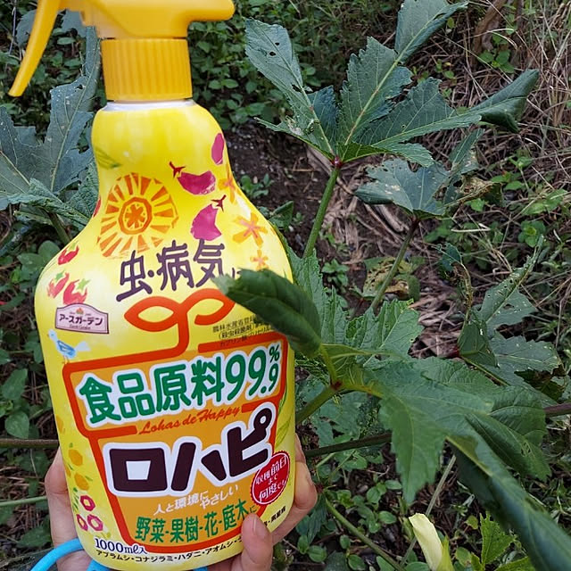 ciiiさんの実例写真