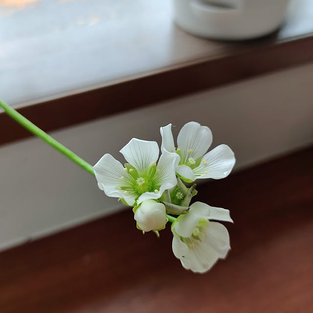 kiraさんの実例写真