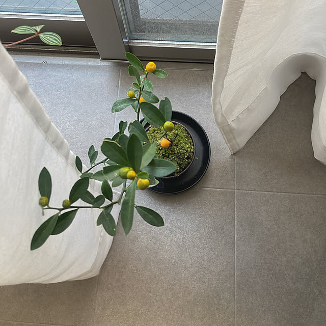 yanagiさんの実例写真