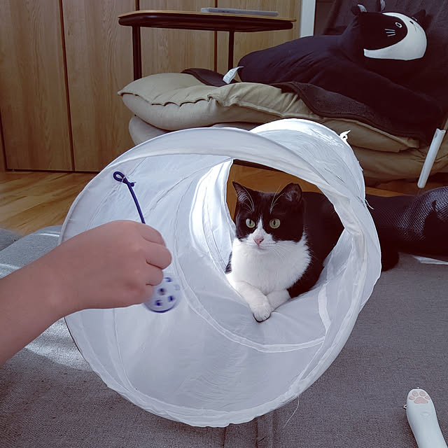 hihaさんの実例写真