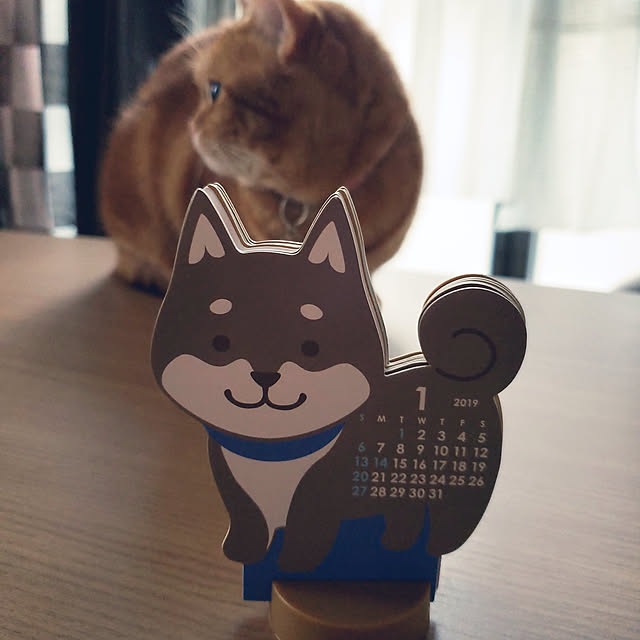 fruityanさんの実例写真