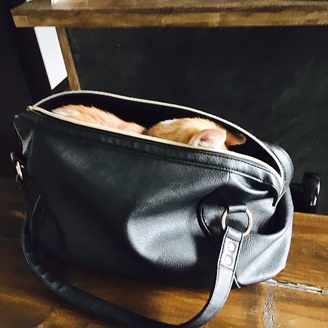abcさんの実例写真