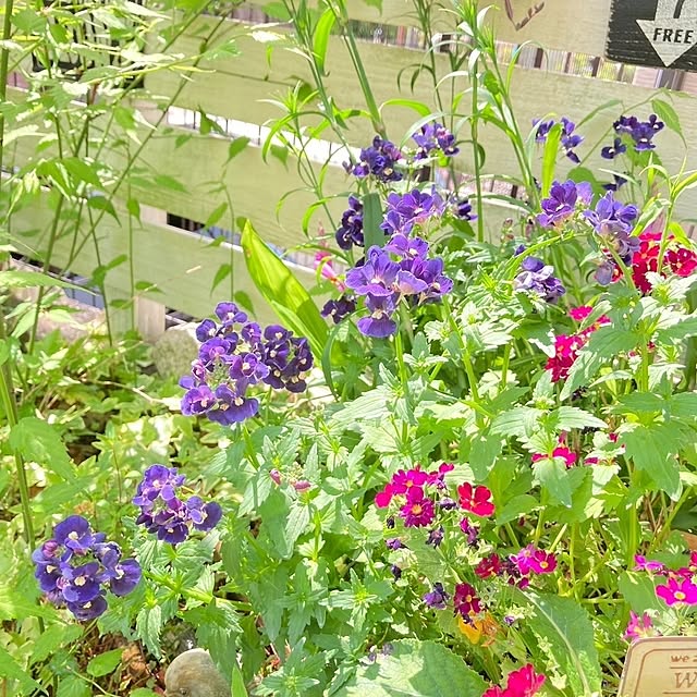 min_nimさんの実例写真