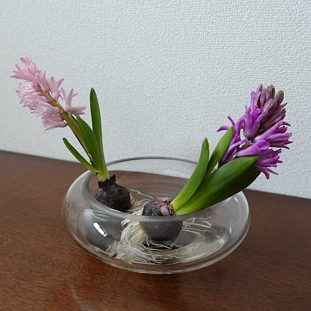 mainさんの実例写真